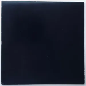 The black album 